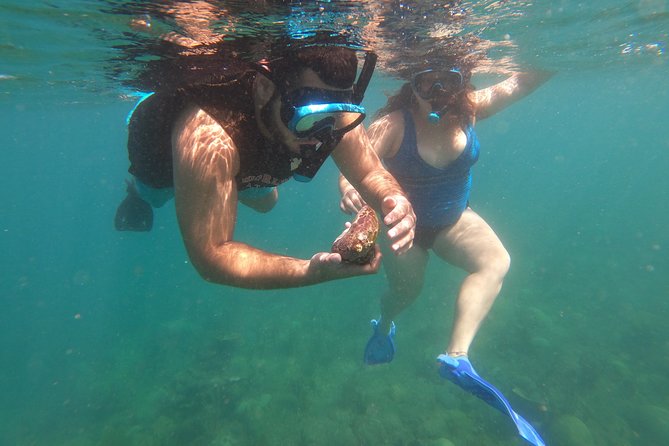 Coral Reef Snorkel Adventure with Photos and Videos - From beach basics to waist-deep confidence in about 1.5 hours