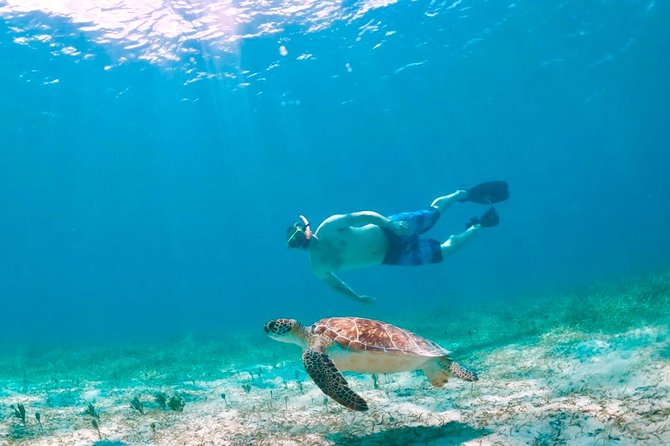 Culebra Snorkel and Turtle Adventure with Transport - Dewey to Tamarindo bus tour: a quick Culebra orientation