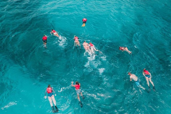 Culebra Snorkel and Turtle Adventure with Transport - Price and value: is $145.84 worth it?