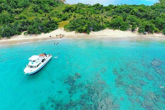Culebra Snorkeling and beach Day Experience by boat - What You Might See Underwater, and Why No Two Days Feel Identical