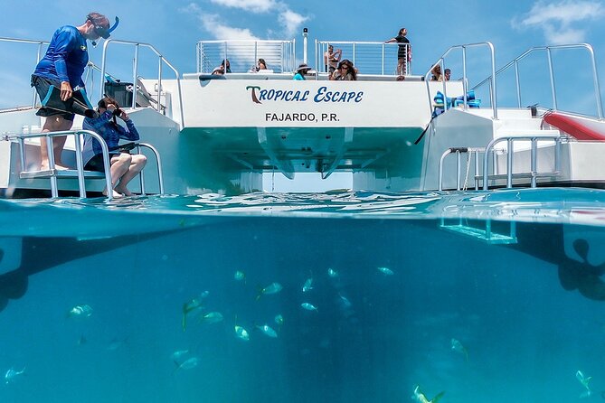 Culebra Snorkeling Tour by Catamaran from Fajardo - Reef Snorkeling in a Marine Nature Preserve: What You Actually Get