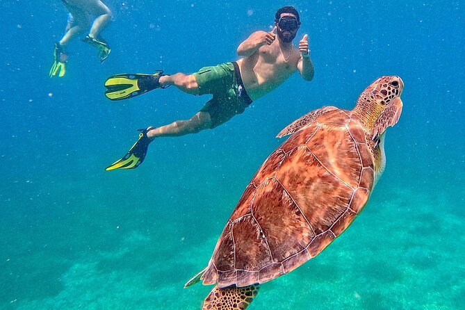 Culebra Swim with Turtles Adventure and Flamenco Beach by Ferry - Culebra in a long day: what 11.5-12 hours really means