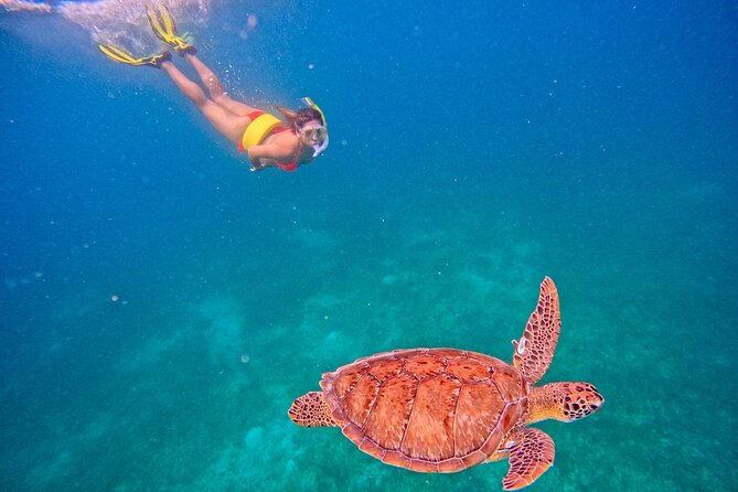 Culebra Swim with Turtles Adventure and Flamenco Beach by Ferry - Safety and stamina: what to prepare for in the water
