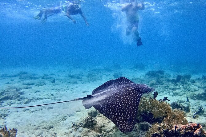 Culebra Swim with Turtles Adventure and Flamenco Beach by Ferry - Flamenco Beach: why you go, how long you stay, and what to watch for