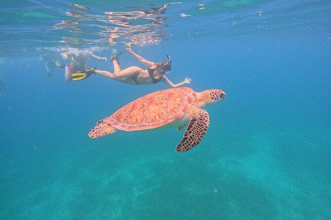 Culebra Swim with Turtles Adventure and Flamenco Beach by Ferry - Tamarindo Beach snorkeling: swimming with sea turtles, not from a boat