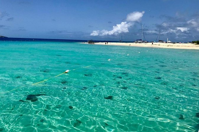 Day Sail with Transportation from San Juan, Condado or Isla Verde!! - Spread Eagle II, crew energy, and what the ride feels like