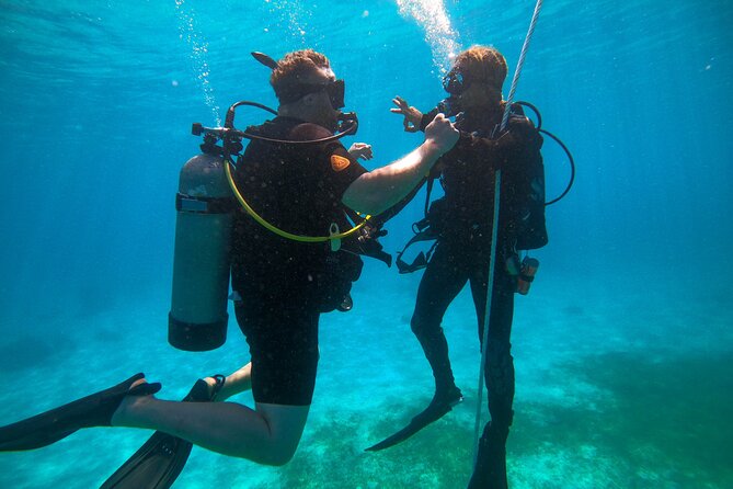Discover Culebra: 2-Tank Scuba Diving - Underwater focus: what you’ll actually do and what to expect