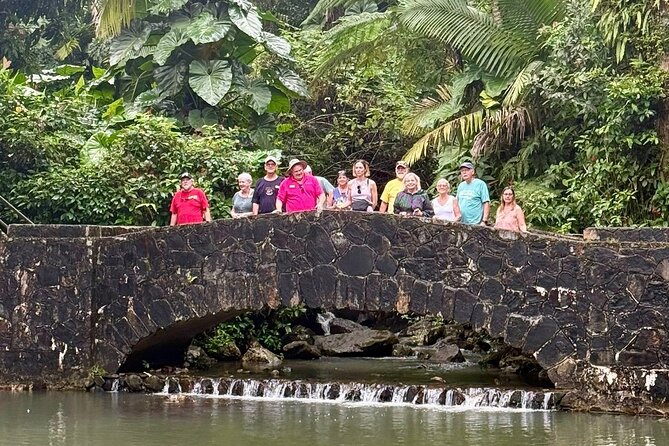 Discover El Yunque National Park: Half-Day Rainforest Tour - Rain rules the day: what to pack and how to handle wet weather
