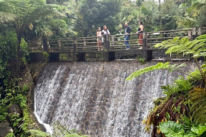 Discover El Yunque National Park: Half-Day Rainforest Tour - Price and value: why $115 can be a good deal for a short stay