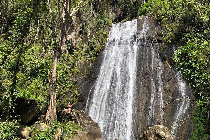Discover El Yunque National Park: Half-Day Rainforest Tour - A low-impact nature walk: plants, ginger, and learning without strain