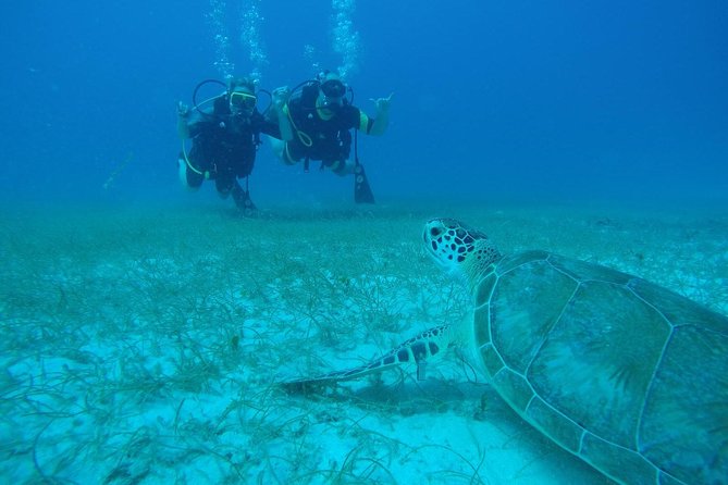 Discover Fajardo: 2-Tank Scuba Diving - Key things you should know before you go