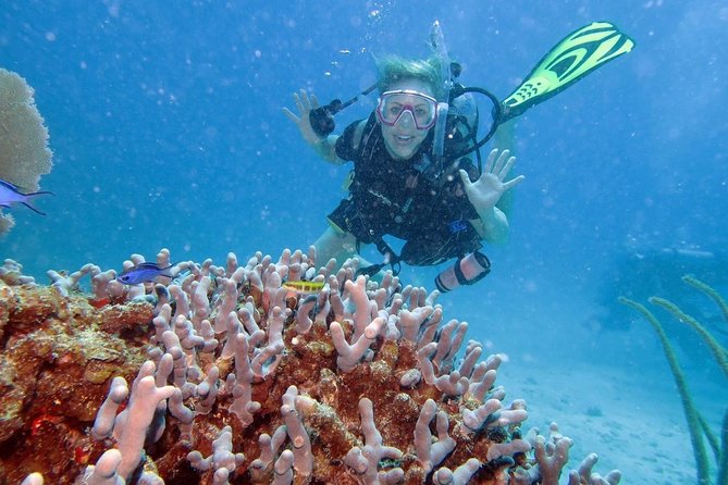 Discover Fajardo: 2-Tank Scuba Diving - Why Fajardo makes a smart first scuba outing