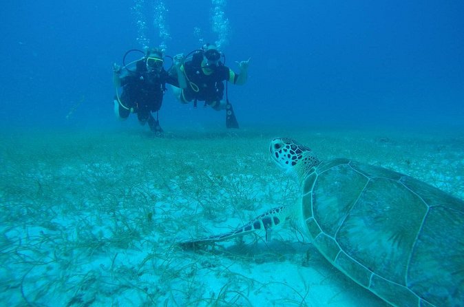 Discover Fajardo: 2-Tank Scuba Diving - The second tank: a guided reef experience with other students