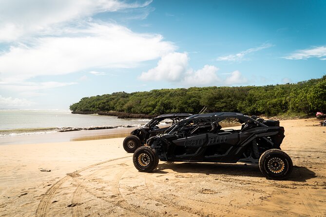 Discover Puerto Rico Like a Local 4 Hour Private Beach Escape - Quick Hits: What You’ll Notice Right Away