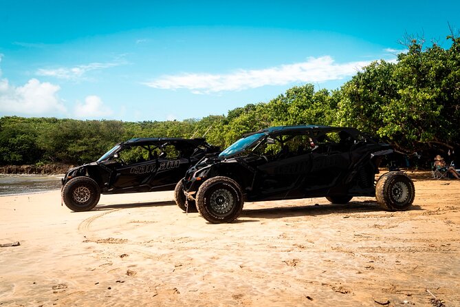 Discover Puerto Rico Like a Local 4 Hour Private Beach Escape - Ocean Park and Condado Timing: Beach Views Without the Full Day Commitment