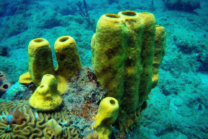 Discover Scuba Diving - How the Day Feels: A Simple Timeline You Can Plan Around