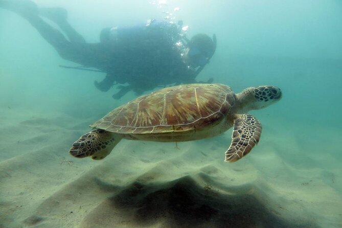 Discover Scuba Diving in San Juan - Key things to know before you go