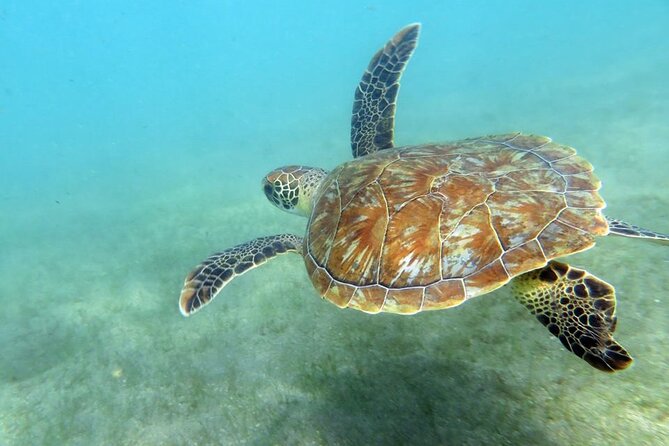 Discover Scuba Diving in San Juan - Getting Set Up at Scuba Dogs in Escambrón Marine Park