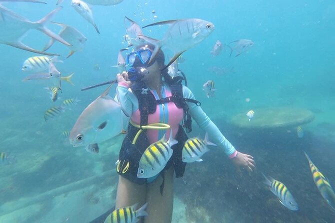 Discover Scuba Diving in San Juan: Perfect for First-Time Divers - San Juan and the Caribe Hilton setup: why this intro feels manageable