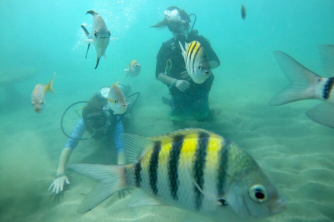 Discover Scuba Diving in San Juan: Perfect for First-Time Divers - Pool demonstration: practice basics before you go shallow