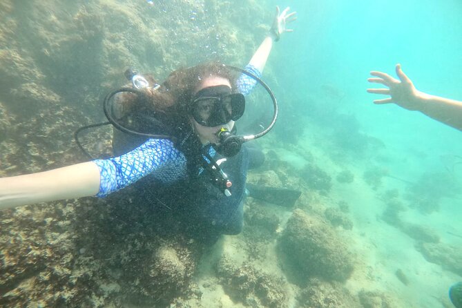 Discover Scuba Diving in San Juan: Perfect for First-Time Divers - Marine life expectations: fish, curiosity, and the reality of weather