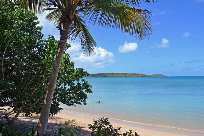 Discover Scuba Diving in San Juan: Perfect for First-Time Divers - Price and value: is $171.54 worth it for a first-time scuba experience?