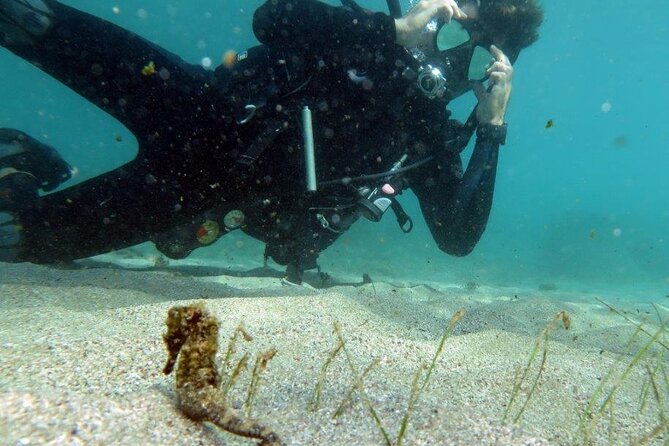 Discover Scuba Diving in San Juan - Safety Briefing and Gear Check That Actually Helps