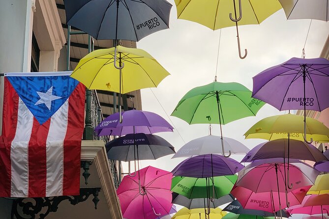 Discovering Puerto Rico: Lifestyle, Art, and Cultural Tour - Comfort and timing: small-group travel without the misery