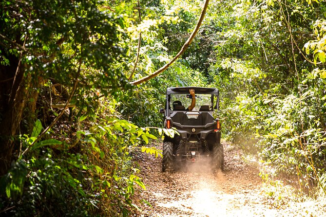 Dos Mares and Rainforest UTV Adventure Tour in Fajardo - Stop 2: El Yunque National Forest viewpoint and ecology talk