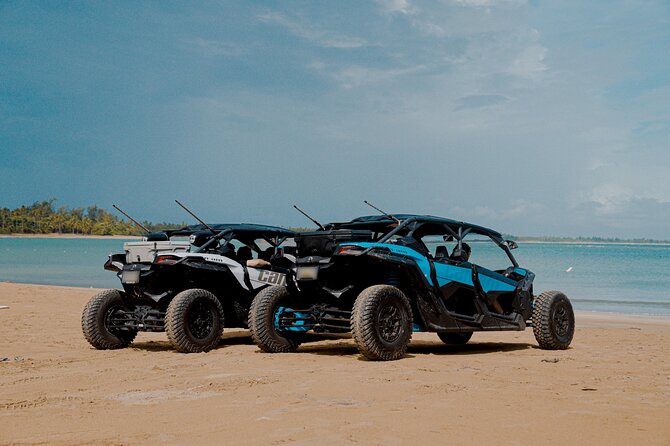 Drive a UTV Can-Am on a Beach Tour in San Juan Puerto Rico - Key things you’ll notice on this UTV beach tour