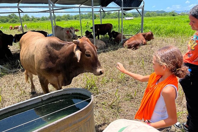 Eco Friendly Farming Tour to Explore Dorado's Most Beautiful Farm - Key Highlights If You Want the Best of Finca Pastoreo