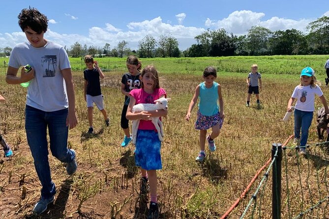 Eco Friendly Farming Tour to Explore Dorado's Most Beautiful Farm - Finca Pastoreo in Dorado, where pasture-raised farming is the main event