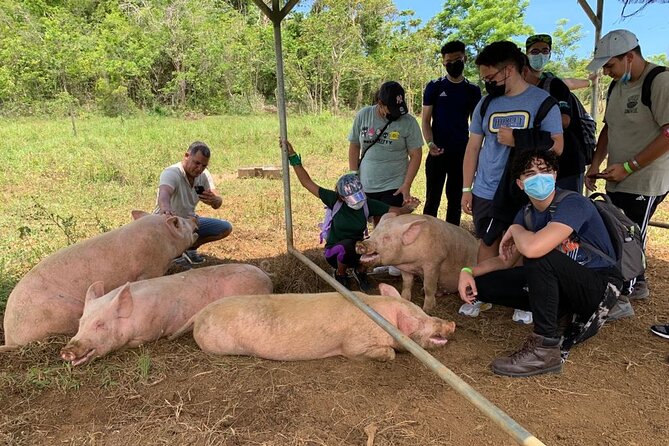Eco Friendly Farming Tour to Explore Dorado's Most Beautiful Farm - Farm-store food and why it feels like part of the tour