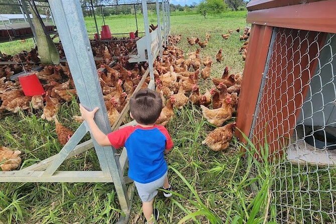 Eco Friendly Farming Tour to Explore Dorado's Most Beautiful Farm - Tour Flow: meeting José Luis, animals, then farm-shop food