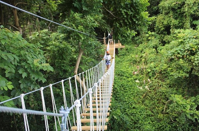 El Yunque Adventure Trail - Forest “surfing” on the course: the fun twist after the big moments