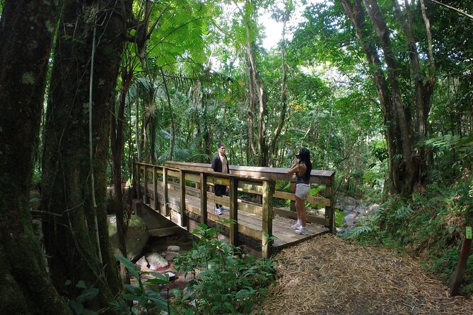 El Yunque Beach Jetski + Rainforest Hike Adventure Tour - The Water-Only Sandbar Beach: Why It Feels Like a Secret