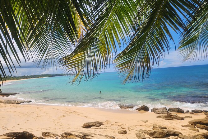 El Yunque & Beach Tour: Waterslide, Waterfall, Food, & Photos - Key Highlights You’ll Feel Immediately