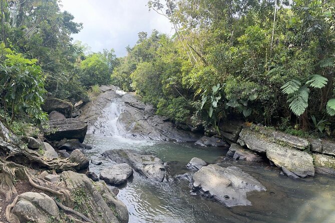 El Yunque & Beach Tour: Waterslide, Waterfall, Food, & Photos - The Short Hike to the River, and Why It Feels Less Tiring