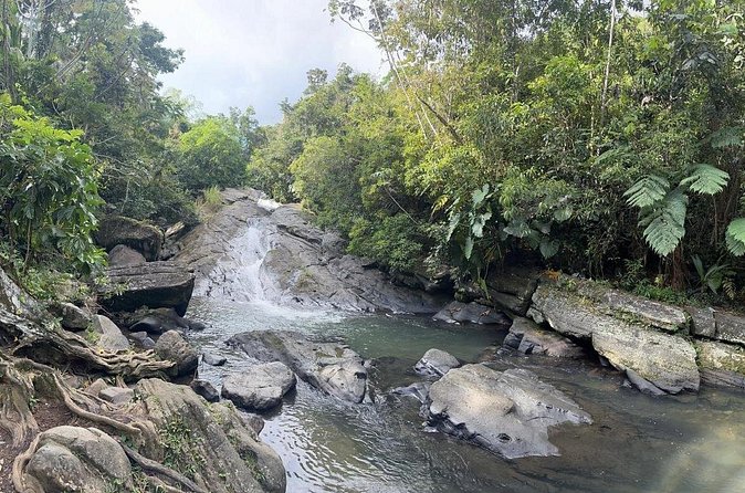 El Yunque & Beach Tour: Waterslide, Waterfall, Food, & Photos - Logistics That Make the Day Easier Than You’d Expect