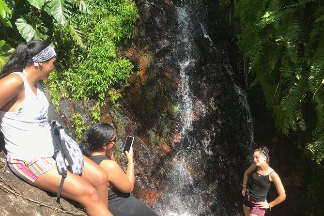 El Yunque Hike Adventure to Las Tinajas Waterfall from Fajardo - The El Yunque National Forest hike: mud, ropes, and plant spotting