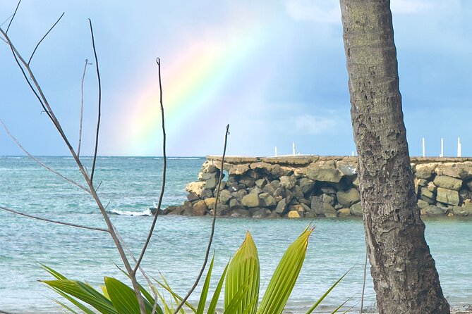 El Yunque Hike, Waterslide & Luquillo Kiosks Food with Transport - Luquillo Kiosks at Kiosko 22: What to Eat When It Is Your Call