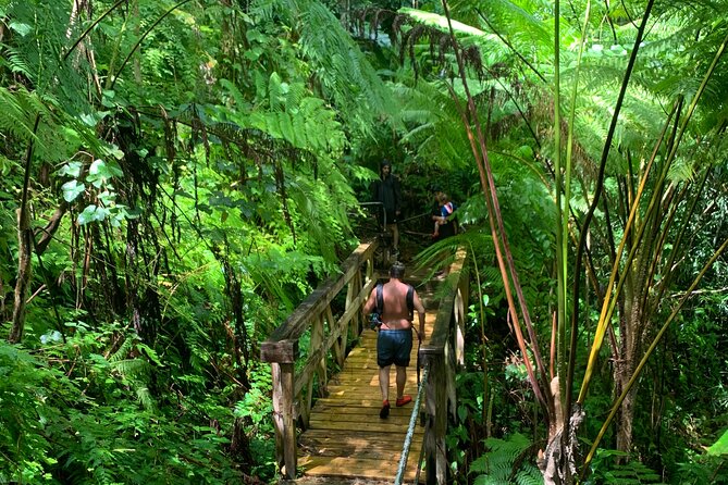 El Yunque National Forest and Luquillo Beach Combo - Key Highlights at a Glance