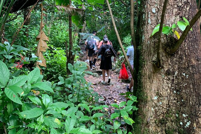 El Yunque National Forest and Luquillo Beach Combo - A Smart Puerto Rico Day Trip: Jungle Views to Luquillo Kiosks