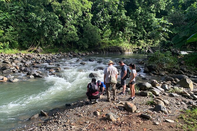 El Yunque National Forest and Luquillo Beach Combo - Getting There Comfortably: Pickup, Mobile Ticket, and a Small Group