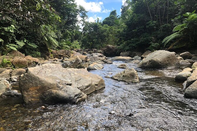 El Yunque National Forest and Luquillo Beach Combo - Catarata La Coca: A Quick 85-Foot Waterfall Photo Moment