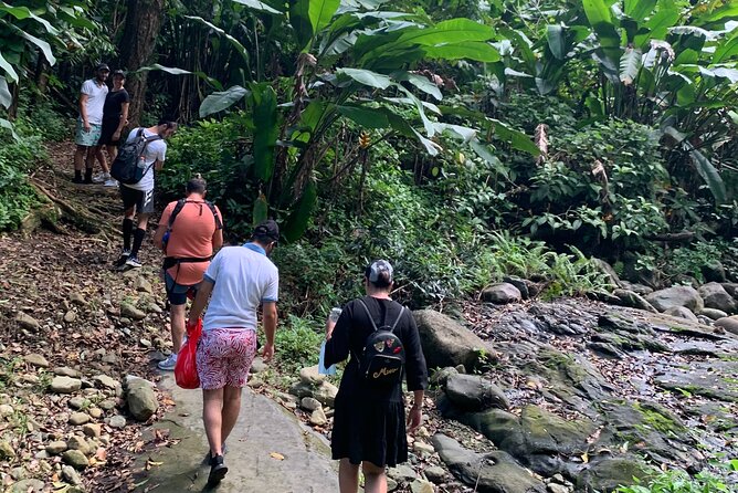 El Yunque National Forest and Luquillo Beach Combo - Price and Logistics: Why This One Feels Fair