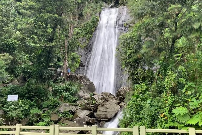 El Yunque National Forest and Luquillo Beach Tour - Catarata La Coca: short stop, big height