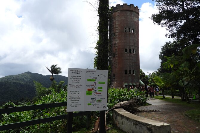 El Yunque National Forest and Luquillo Beach Tour - The river swim stop: the main reason to book