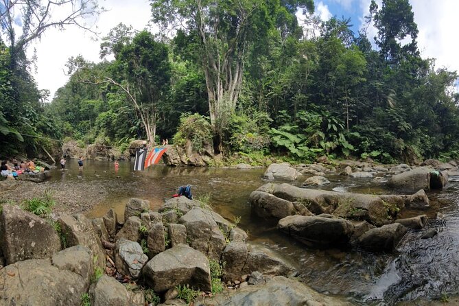 El Yunque National Forest and Luquillo Beach Tour - Price and value: is $79 fair for this day?