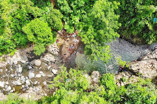 El Yunque National Forest and Luquillo Beach Tour - Who this tour fits best, and who should skip it